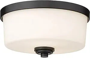 Z-Lite 2 Light Flush Mount 220F2-MB, Black,12" Round