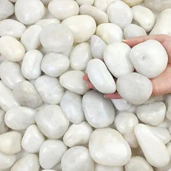 FANTIAN 20 lbs White River Rocks for Landscaping, 2-3 inch Large Pebbles for Plants, Decorative Stones for Planters Vase Aquarium and Outdoor Garden Rocks