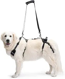 Ortocanis - Full-Body Dog Harness for Fore and Hind Support. Size XXL