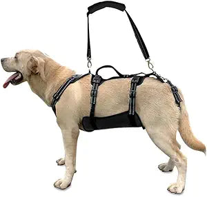 Coodeo Dog Lift Harness, Support & Recovery Sling, Pet Rehabilitation Lifts Vest Adjustable Breathable Straps for Old, Disabled, Joint Injuries, Arthritis, Paralysis Dogs Walk (Black,XL)