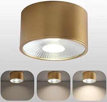 Sedelan Mini Brass Ceiling Spot Light, 4.33 Inch Small Flush Mount Fixture, 7W 4500K LED Cylinder Lamp, Modern Indoor Accent Light for Closet Hallway Staircase Bedroom