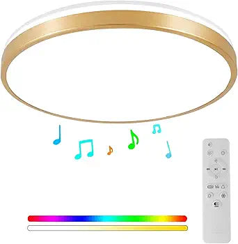 RGB Flush Mount Light Fixture with Bluetooth Speaker, 24W Dimmable Brushed Nickel LED Ceiling Light for Bedroom, Living Room, Kid's Rooms, Kitchen, Hallway (Need Wired)