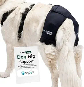 Ortocanis Hip Support for Dogs Neoprene Stability Dog Hip Brace for Dysplasia, Osteoarthritis & Mobility Aid Adjustable Joint Support & Pain Relief Size: Large (Chest 6996 cm)