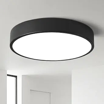 Hallway LED Low Profile Flush Mount Ceiling Light Fixture,11.8 Inch