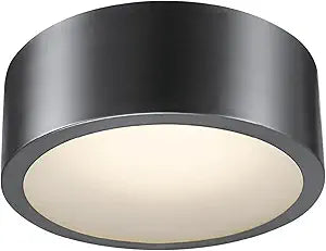 Globe Electric 60304 Edinburg LED Integrated Flush Mount Ceiling Light, Black Iron Finish, Frosted Glass Shade, 18W, 3000 Kelvin, 1100 Lumens, Dimmable 60304