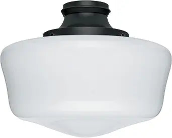 Hunter Ceiling Fan Light Kit - Original Damp Rated Traditional Globe, Black Finish, Replacement Light Fixture for Bedroom, Bathroom, Kitchen, or Covered Outdoor Areas - 99165