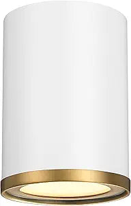Z-Lite 2303F1-MW-RB Arlo Flush Mount, 1-Light 60 Watts, Matte White and Rubbed Brass