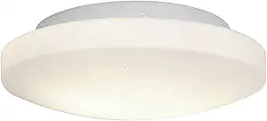 Orion - 11"dia Flush Mount - White Finish - Opal Glass Shade