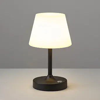PUSU Cordless LED Black Small Table Lamp, Waterproof Shower Desk lamp