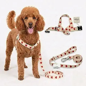 Heart Small Dog Harness and Leash Set - No-Pull Soft Webbing Vest with Front & Back Clip, Durable 2.5cm Wide Dog Lead with Double Lock Safety Clip, Lightweight & Adjustable (Ivory, Small)