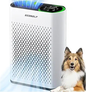 Air Purifier for Large Room, Cleans 2,400 ft┬▓ in 30 Mins, 3-Stage True HEPA, 360┬░ Airflow, Large Touch Display Control, Real-Time Air Quality (PM2.5) Display, Ultra-Quiet 20dB Sleep Mode, HAP602 White