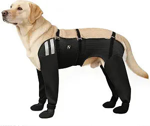 COODEO Dog Socks for All 4 Paws, Waterproof Non-Slip Easy to Wear, Licking Prevention Paw Protection, Durable Warm Salt-Resistant, for Rain Snow Post-Surgery Wound Care Daily Use (Black, M)