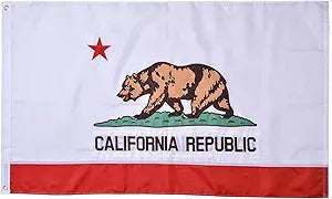 California Flag 4x6, US California Republic State Flags Outdoor, Luxurious Full Embroidery, Brass Grommets
