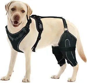Dog Knee Brace for Torn ACL/CCL Hind Leg,Torn Ligament, Effective Wrapping and Joint Warmth,Adjustable Support, Pain Relief & Better Recovery Both Legs/XXL Size