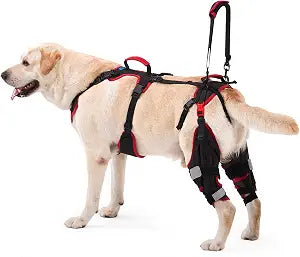 Dog ACL CCL Knee Brace for Large Dogs, Set of 2 Hind Leg Braces with Handles & Shoulder Strap Non-Slip Support for Injury, Arthritis & Post-Surgery Recovery, Black, Large