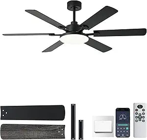 NKPU 56 Inch Ceiling Fans with Lights, Modern Black Ceiling Fan with Light and Remote Control, 6 Double Sided Blades, 6 Speed Reversible Motor, Dimmable LED, Silent Timing, Indoor Outdoor Patio Use