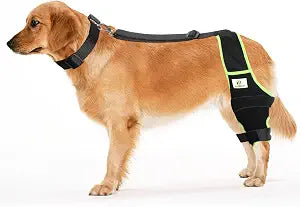 Dog Knee Brace for Hind Legs with Extra Collar & Strap - Relieves Joint Pain & Discomfort, Enhances Mobility | Supports Recovery from Osteoarthritis, Torn ACL/CCL, Luxating Patella | Adjustable (L)