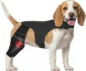Adjustable Dog Knee Brace for ACL Tear and Arthritis Recovery - Dual Hind Leg Support with Harness Connection - Orthopedic Leg Wrap for Joint Stability and Pain Relief in Small to Large Dog (S)