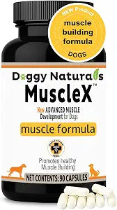 MuscleX Canine Muscle Formula Dogs with CaHMB 500 mg and Vitamin D3 - Natural Muscl Building Formula - Helps Reduce Muscle Loss Due to Normal Aging and Improves Recovery from Injury (90 Capsules)