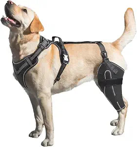 Dog Knee Brace for Torn ACL/CCL Hind Leg,Adjustable Support with Sufficient Wrapping and Support & Luxating Patella,Non-Slip Joint Brace,Pain Relief & Better Recovery-Left Leg/XL