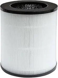 Nispira True HEPA Carbon Filter Replacement Compatible with Azeus C8 Air Purifier High CADR, Hisens Air Purifier KJ120, Mooka Air Purifier C10, 1 Pack