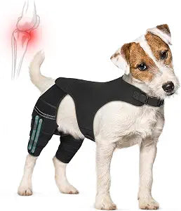 Dog Knee Brace for Hind Legs ACL Support - Adjustable Double Leg Dog Brace for Joint Pain Relief, Luxating Patella, Arthritis Recovery - Secure Fit Orthopedic Wrap for Small Medium Large Dogs (XS)
