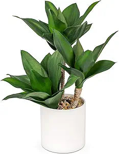 Hollyone Large Artificial Agave Plants Fake Three-Head Agave Succulent Plant Potted 15" Faux Plant in White Pot Succulent Aloe Plant Indoor for Desk Modern Home Decor