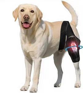 Dog Knee Brace for Torn Acl Hind Leg - Adjustable Stabilizing Support for Ccl Injury, Luxating Patella, Hind Leg Pain & Arthritis - Rear Leg Limp Support