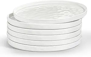 LIANYU Dinner Plates Set of 6, 10.2 Inch Large Ceramic Dessert Plate for Kitchen, Porcelain Serving Dishes for Salad Appetizer Cake Bread, Scratch Resistant, Microwave & Dishwasher Safe, Polar White