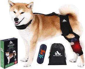 Universal Dog Knee Brace with Hot/Cold Therapy Pack, Adjustable, Breathable, Extra Comfortable Collar with Stabilising Back Brace (Large)