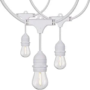 Satco S8038 LED Indoor/Outdoor String Lights, White, S14 Bulbs, 24 Feet (Pack of 1)