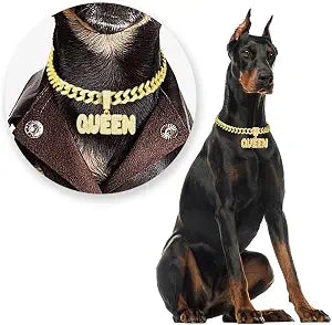 Gold Dog and Cat Collar with Zirconia Stones and Ring Pendant, Stylish and Bling Bling Pet Necklace for Small and Medium Dogs and Cats (16 Inch)