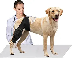 S Dog Knee Brace for Torn Acl Hind Leg for Support with Cruciate Ligament Injury, Better Recovery with Dog Leg Braces for Back Leg