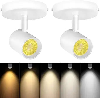 VANoopee 5-Color Dimmable Ceiling Spotlight Flush Mount Adjustable Directional LED Spot Lights Indoor Bright Accent Fixture for Art Picture Living Room - CRI90 24 Flicker Free 10W 800lm White 2 Pack