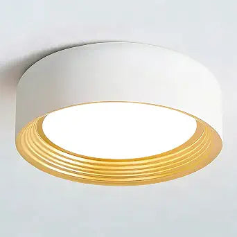 11.81 Inch Dimmable Modern LED Flush Mount Ceiling Light Fixture