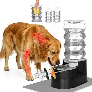 RIZZARI 8L Elevated Pet Water Dispenser Stainless Steel Gravity Waterer | for Medium/Large Dogs & Senior Pets, Comfortable Drinking Height for Living Rooms & Multi-Pet Homes, Auto refill