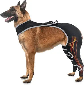 Dog Recovery Sleeves for Back Leg, Breathable Lick Prevention Sleeve for Dogs Hind Rear Leg, Reflective Adjustable Alternative to Cone Size XL