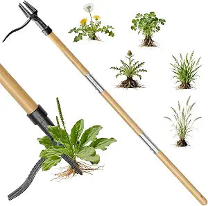 Stand Up Weed Puller Tool, Real Bamboo Long Handle 4-Claw Steel Head Weeder