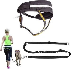 Dingo Hands Free Leash and Belt for Walking and Running with Dog, Bungee Training Leash, o-Ring Z30004
