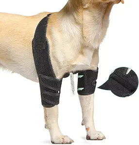 Dog Elbow Protector Brace for Canine Pads Elbow&Shoulder Support Callus, Hygroma, Dysplasia, Arthritis, Dislocation, Pressure Sores, with Metal Splints Wrap Both Left and Right Front Legs