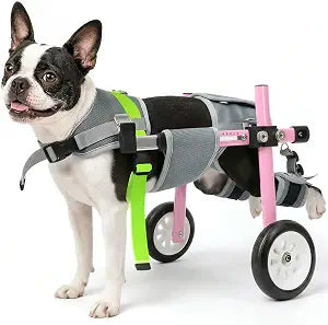 Lightweight and Adjustable Dog Wheelchair for Back Legs, Dog Carts with Wheels for Disabled Dogs, Thick Harness Support Mobility Cart for Pets