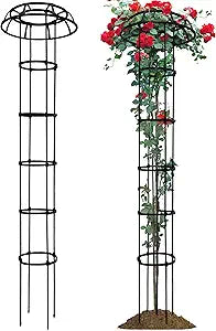 1 Pack Umbrella Trellis for Climbing Plants, 76 Inch Tall Adjustable Plant Support for Outdoor Indoor Garden, Sturdy Metal Core with Plastic Coating, Black