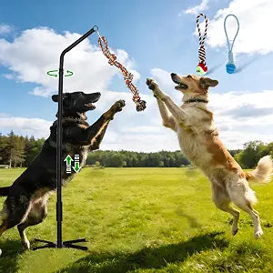 Tether Tug Outdoor Dog Toy,Tether Outdoor Dog Rope Toy with Adjustable Height Spring Pole, 3 Kinds Dog Tug of War Toys for Self Play and Interactive in Park Yard Lawn for Large Medium Small Dog