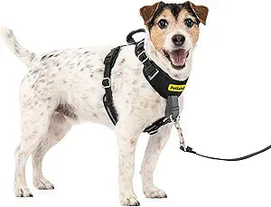PetSafe Easy Walk Comfort No-Pull Dog Harness Full-Body Padding - Better Walks on the First Use - 5 Points of Adjustment Small, Black