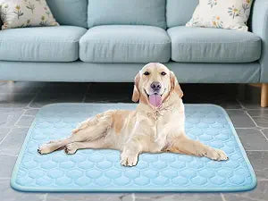 Mannice Washable Pet Bed Mat, All Season Soft Pad for Small Medium Large Dogs & Cats, Waterproof Non-Slip Mud Resistant Mat, Multi-Use for Crate, Floor, Sofa, Kitchen, Bathroom & Front Door