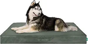 Premium Indoor-Outdoor Deluxe Mattress Pet Bed, Dark Olive, JumboPlus