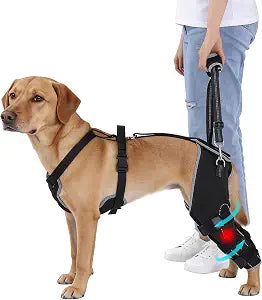 BALAPET Dog Rear Leg Brace for ACL/CCL Injury, Hinged Hind Leg Support Harness for Weak Back Legs, Torn ACL, Post-Surgery Recovery, Stairs, Car & Walking Assistance(L)