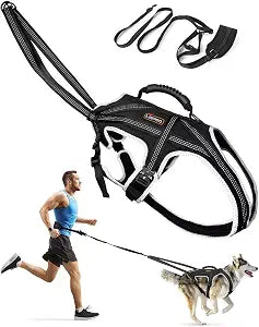 Dog Running Harness Set with Waist Belt & Shock Absorbing Leash | Hands-Free Control, Easy to Put On Design for Medium to Large Dogs, Designed for Jogging, Fast Walking, and Hiking, L