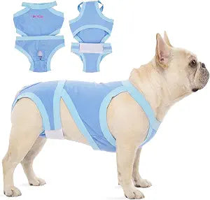 PUMYPOREITY Dog Diapers for French Bulldogs Secure Fit Dog Wraps, Reusable & Machine Washable, for Heat Cycle, Marking, Pee Protection, Indoor Use, Travel, Home Protection, Blue, XL
