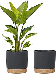 kubvici Plant Pots for Indoor Plants, 2 Pack 12 Inch Pots for Plants, Lightweight Large Planters for Indoor Outdoor, Big Plastic Black Pot Flower Pot with Drainage (12 Black)